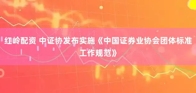 红岭配资 中证协发布实施《中国证券业协会团体标准工作规范》