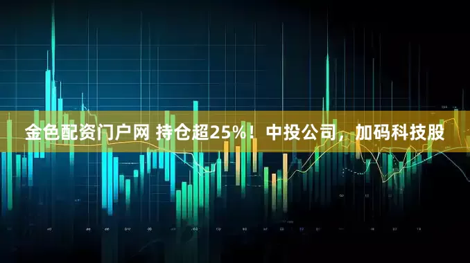 金色配资门户网 持仓超25%！中投公司，加码科技股